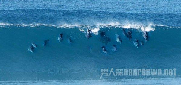 解决问题,尽在笔记本电脑死机了怎么办?问答平台